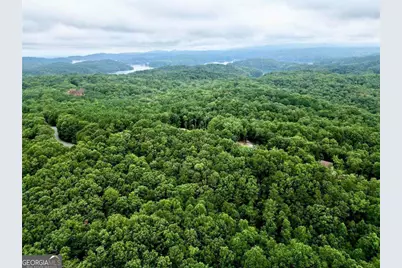 0 S Twin Oaks Drive, Ellijay, GA 30540 - Photo 10