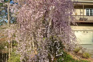 416 Dach Bruecke Gasse, Helen, GA 30545 - Photo 94