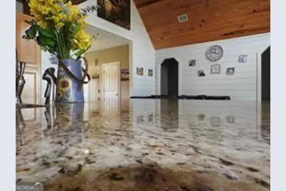 105 Lonnie Johnson Road, Hazlehurst, GA 31539 - Photo 18