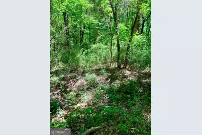 0 S Tanglewood Drive, Royston, GA 30662 - Photo 2