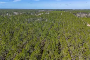 12321 Hwy 185, Saint George, GA 31562 - Photo 46