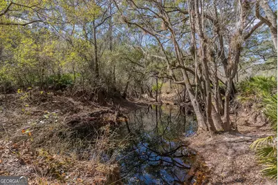 12321 Highway 185, Saint George, GA 31562 - Photo 72