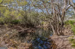 12321 Hwy 185, Saint George, GA 31562 - Photo 72