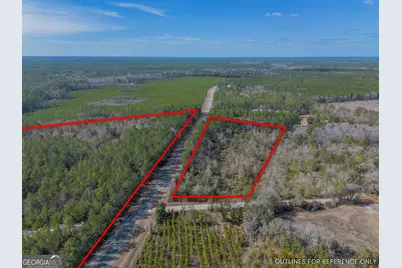 12321 Highway 185, Saint George, GA 31562 - Photo 6