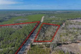 12321 Hwy 185, Saint George, GA 31562 - Photo 6