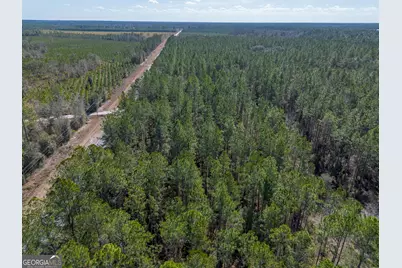 12321 Highway 185, Saint George, GA 31562 - Photo 18