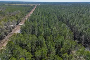 12321 Hwy 185, Saint George, GA 31562 - Photo 18