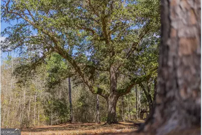 12321 Highway 185, Saint George, GA 31562 - Photo 74