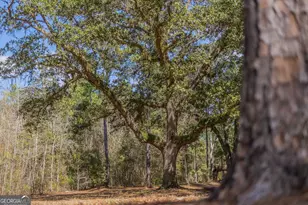 12321 Hwy 185, Saint George, GA 31562 - Photo 74