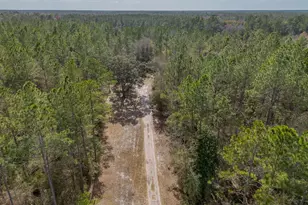 12321 Hwy 185, Saint George, GA 31562 - Photo 50