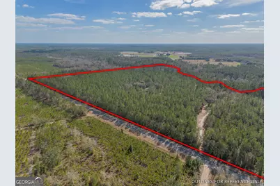 12321 Highway 185, Saint George, GA 31562 - Photo 4