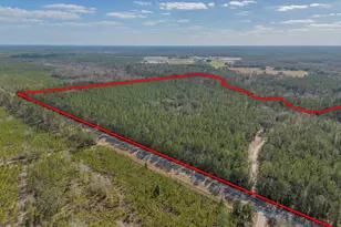 12321 Hwy 185, Saint George, GA 31562 - Photo 4