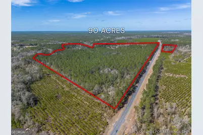 12321 Highway 185, Saint George, GA 31562 - Photo 2