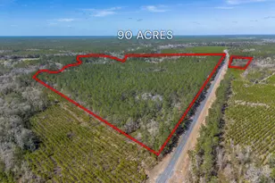 12321 Hwy 185, Saint George, GA 31562 - Photo 2