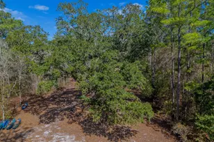 12321 Hwy 185, Saint George, GA 31562 - Photo 52