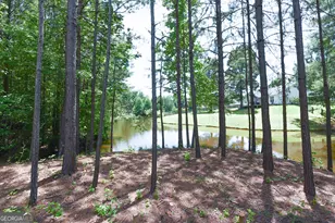 12 St Charles Pl, Grantville, GA 30220 - Photo 20