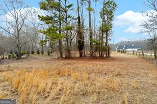 2331 Hwy 51 N, Homer, GA 30547 - Photo 70