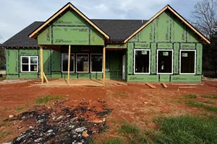 133 Twin Oaks Dr, Hampton, GA 30228 - Photo 2