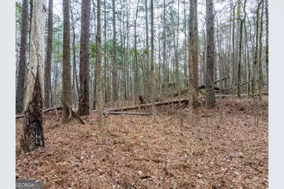 8.5 Acres Rockbridge Road S, Stone Mountain, GA 30087 - Photo 14