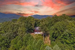 832 Scenic Mountain View Rd, Blue Ridge, GA 30513 - Photo 52