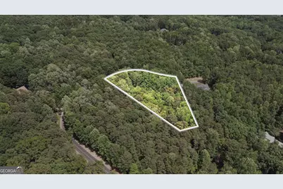 0 Plum Lane #LT 53, Clarkesville, GA 30523 - Photo 10