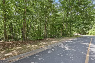0 Plum Lane #LT 53, Clarkesville, GA 30523 - Photo 2