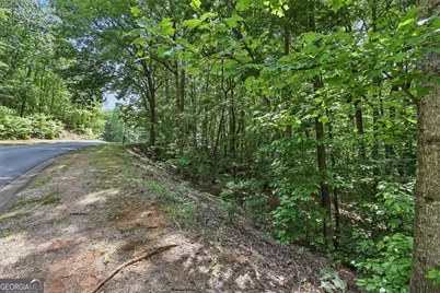0 Plum Lane #LT 53, Clarkesville, GA 30523 - Photo 4