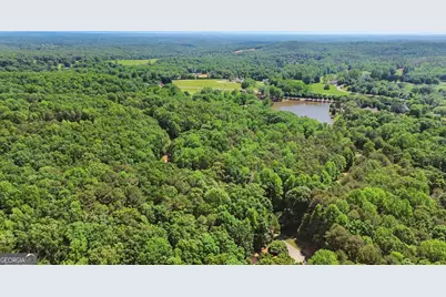 0 Plum Lane #LT 53, Clarkesville, GA 30523 - Photo 12