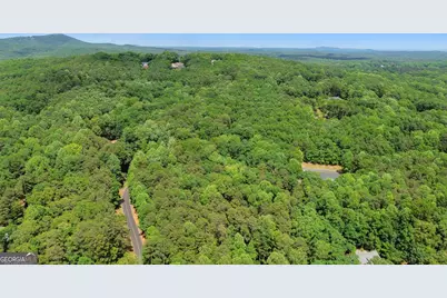 0 Plum Lane #LT 53, Clarkesville, GA 30523 - Photo 8