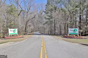 52 Fernwood Dr, Fayetteville, GA 30214 - Photo 52