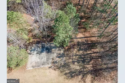 568 Martin Mill Road, Moreland, GA 30259 - Photo 64
