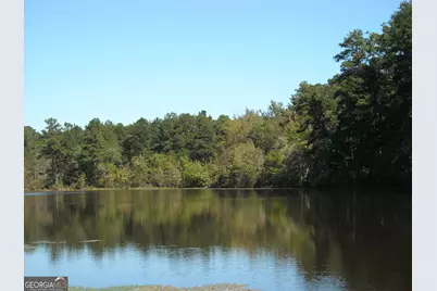 Tract 2 Rivers Road, Fayetteville, GA 30214 - Photo 1