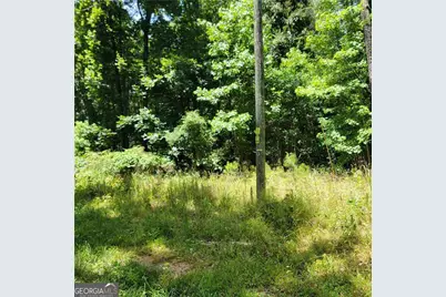 0 Spring Hill Drive, Covington, GA 30016 - Photo 4