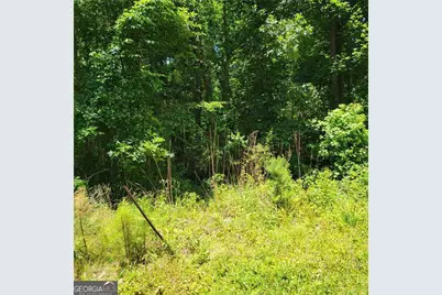 0 Spring Hill Drive, Covington, GA 30016 - Photo 8