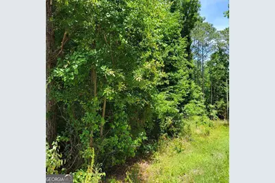 0 Spring Hill Drive, Covington, GA 30016 - Photo 6