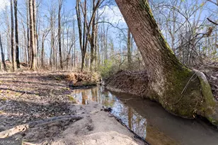 322 Ash Wood Ln, Cleveland, GA 30528 - Photo 40