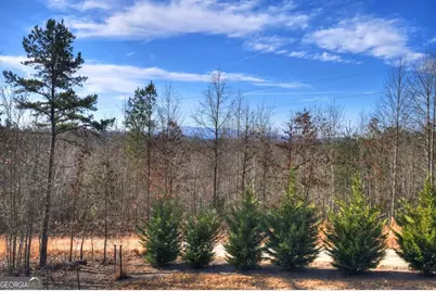 1038 Synacia Drive, Mineral Bluff, GA 30559 - Photo 4