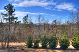 1038 Synacia Dr, Mineral Bluff, GA 30559 - Photo 4