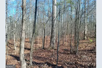 Tract 4 Rivers Road, Fayetteville, GA 30214 - Photo 4