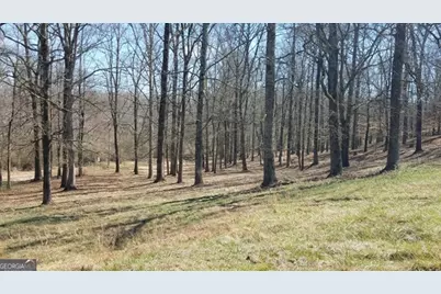 0 Hwy 51 N, Homer, GA 30547 - Photo 10