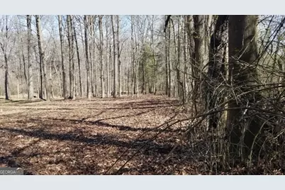 0 Hwy 51 N, Homer, GA 30547 - Photo 14