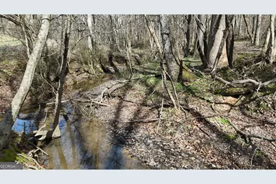 10 Colt Lane, Commerce, GA 30530 - Photo 12