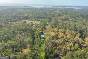 1871 East Perimeter Road SE, Sapelo Island, GA 31327 - Photo 26