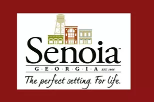 25 Malone Ct, Senoia, GA 30276 - Photo 98