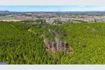 0 Highway 100, Summerville, GA 30747 - Photo 1