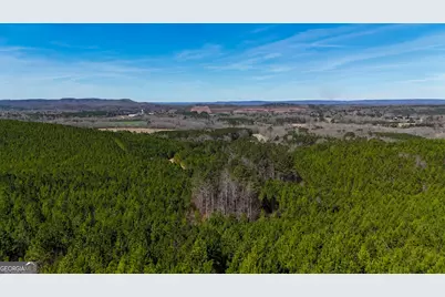 0 Highway 100, Summerville, GA 30747 - Photo 4