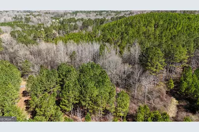 0 Highway 100, Summerville, GA 30747 - Photo 12