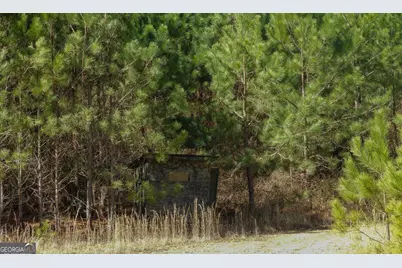 0 Highway 100, Summerville, GA 30747 - Photo 16