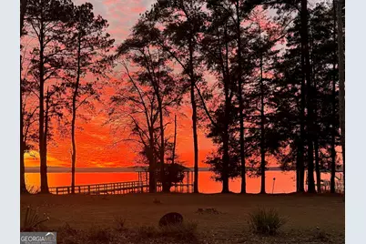 110 Lakeview Drive, Fort Gaines, GA 39851 - Photo 38