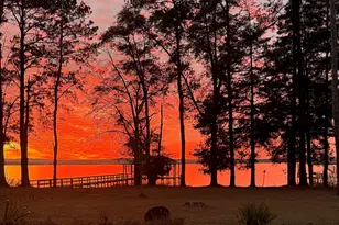 110 Lakeview Dr, Fort Gaines, GA 39851 - Photo 38